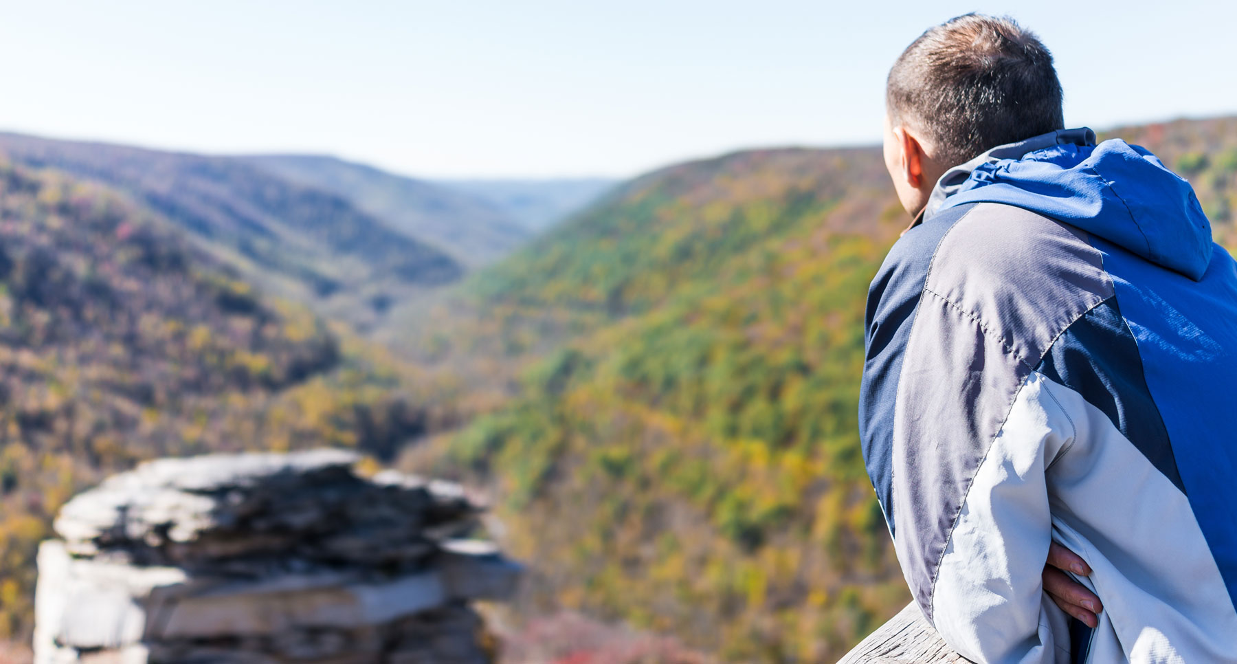 جنگل پر نظر رکھتے ہوئے آدمی